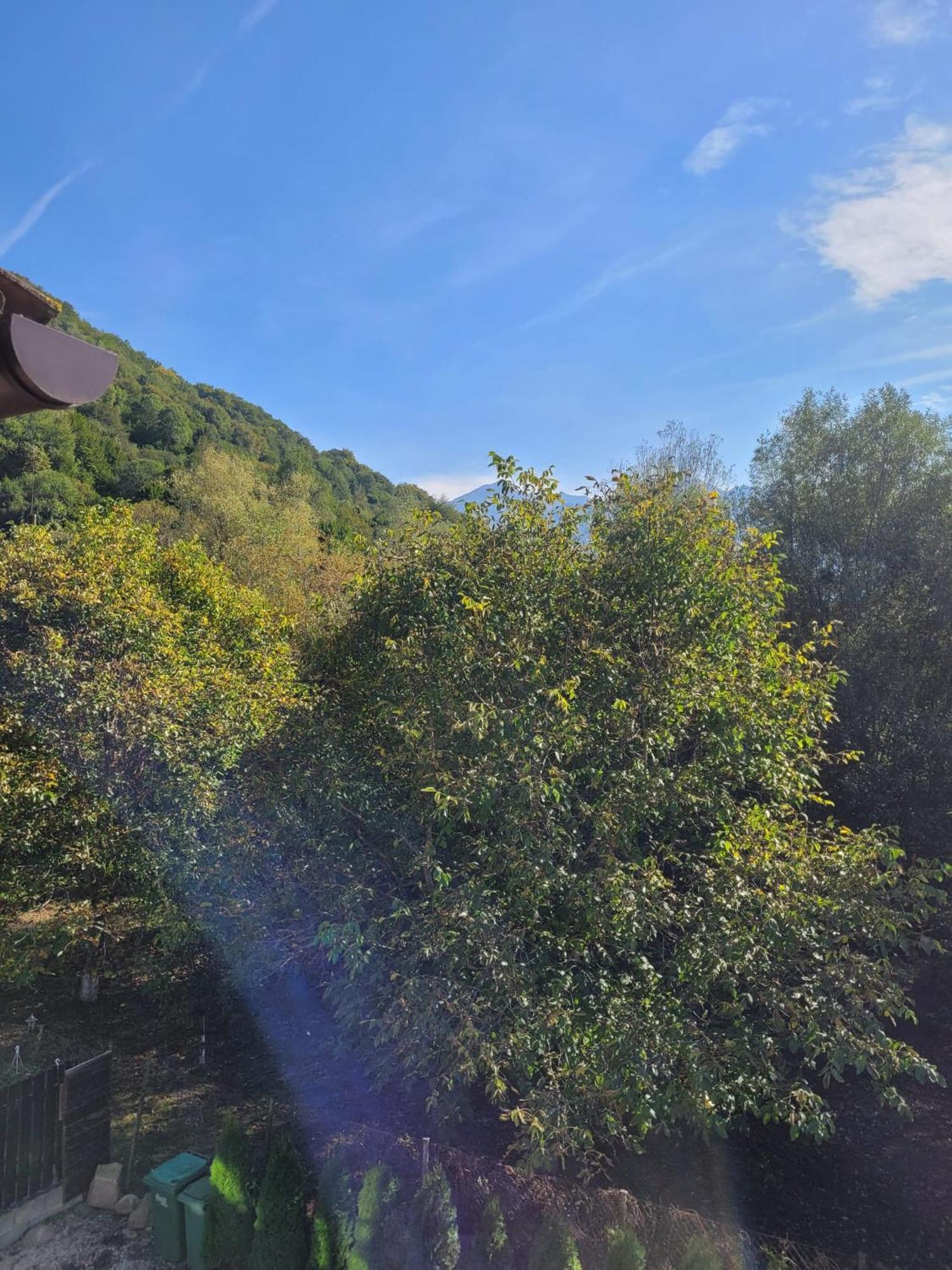 Vila Emma Rîşnov Exteriör bild