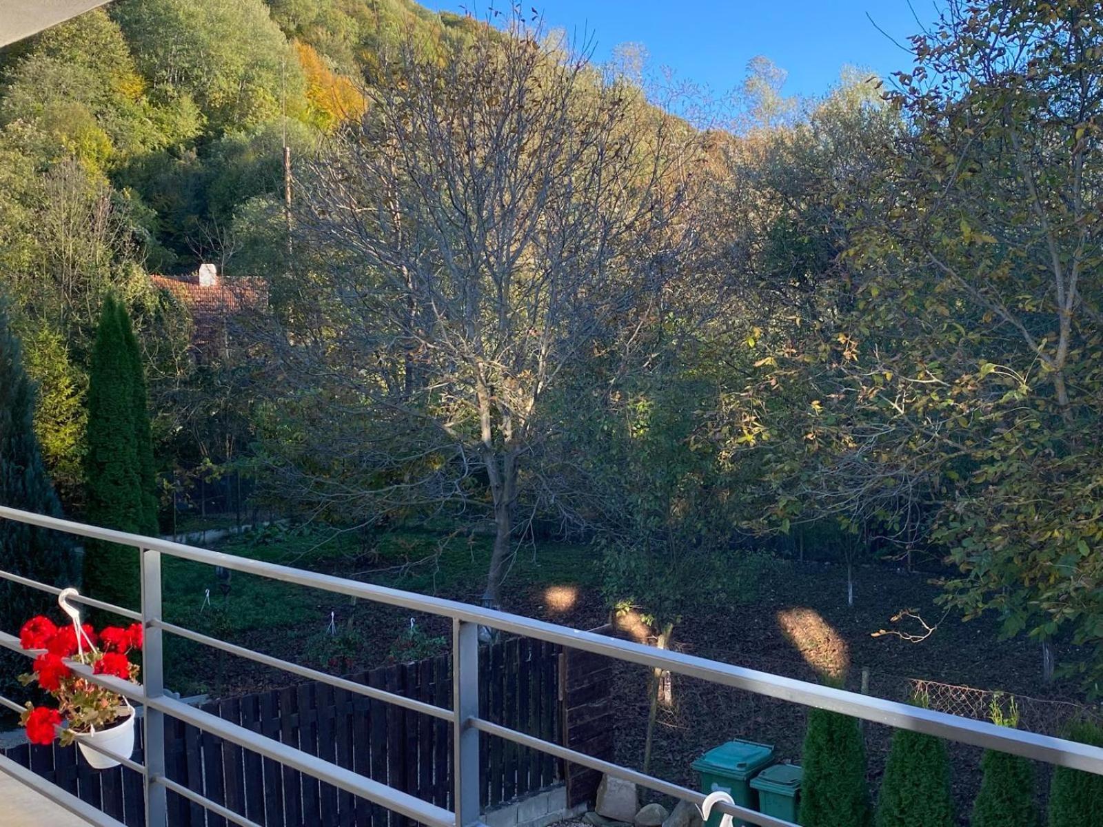 Vila Emma Rîşnov Exteriör bild