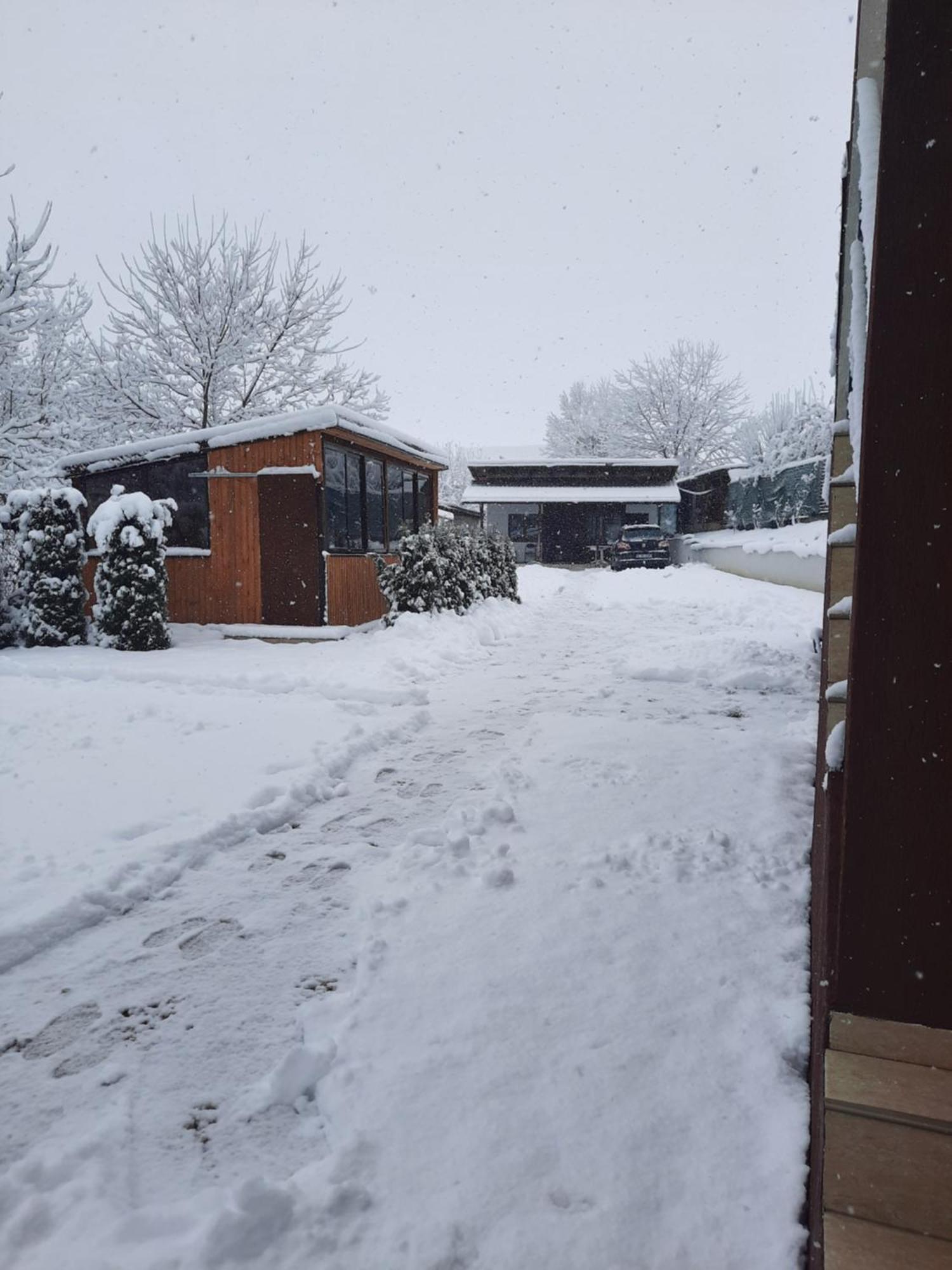 Vila Emma Rîşnov Exteriör bild